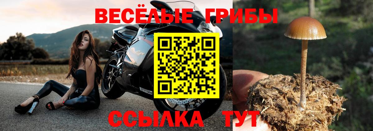 Горно-Алтайск  где купить наркоту  Вход с VPN  Галлюциногенные грибы MAGIC MUSHROOMS 
